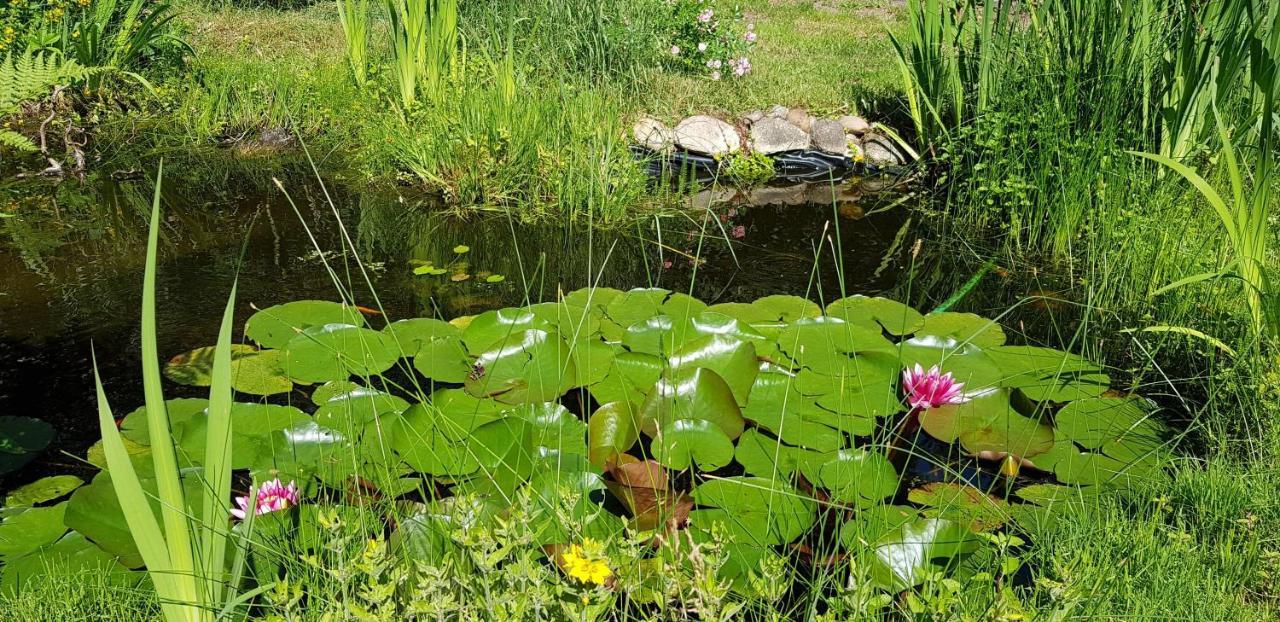Fichtenwalde, 160m², 3 Sz, 2 Baeder, Bis 6 Personen, Garten, Vdsl Holiday home *